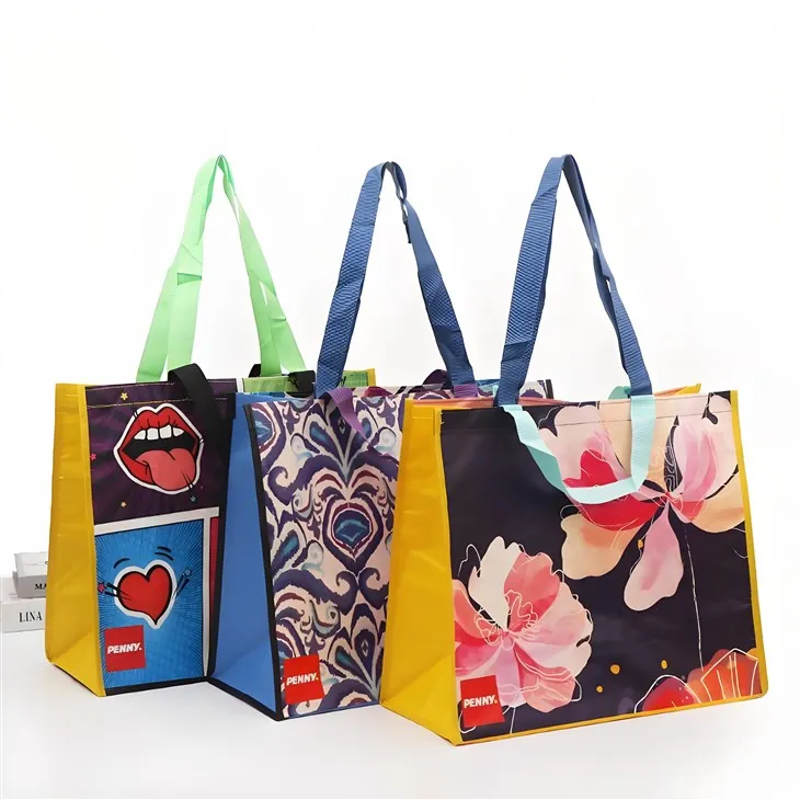 Πολύχρωμη τυπωμένη πλαστικοποιημένη τσάντα τσάντα διαφήμισης Non Woven τσάντα